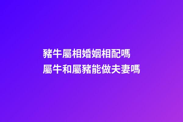豬牛屬相婚姻相配嗎 屬牛和屬豬能做夫妻嗎-第1張-觀點-玄機派